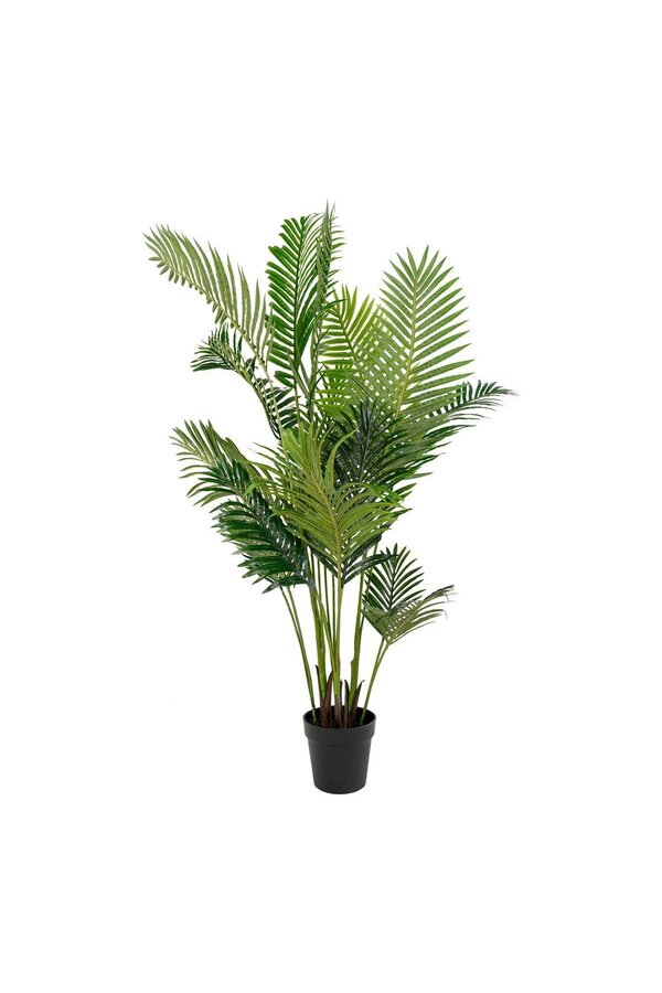 Areca Palm - Groen, PE Kunststof/Polyester, 64x64x175 cm