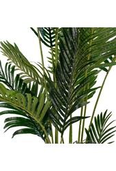 Areca Palm - Groen, PE Kunststof/Polyester, 64x64x175 cm