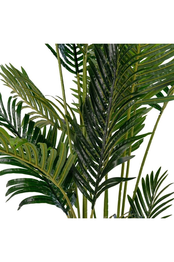 Areca Palm - Groen, PE Kunststof/Polyester, 64x64x175 cm