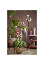 Arzilla Laterne – L14 x B13 x H35 cm – Schwarz