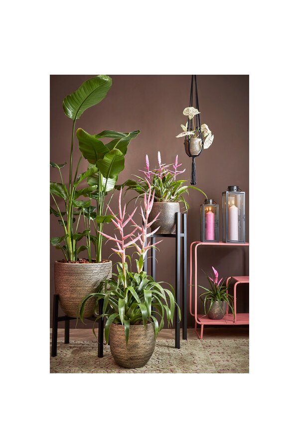 Arzilla Laterne – L14 x B13 x H35 cm – Schwarz