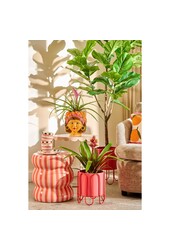 Flowerpot divertente all'interno - l20 x b20 x h22 cm - dolomite - arancione