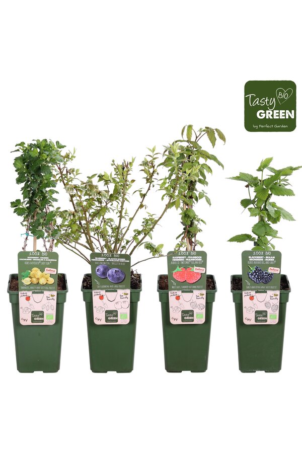 Fruit mix tray bio P19 exclusief