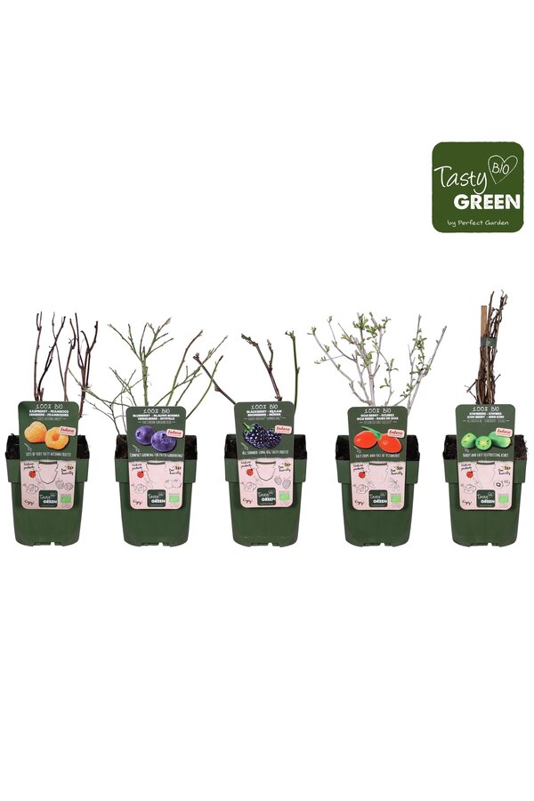 Fruit mix tray bio exclusief P13