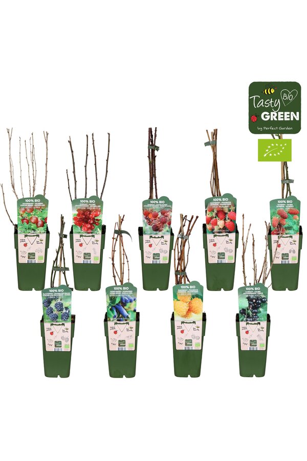 Fruit mix tray bio standaard P15