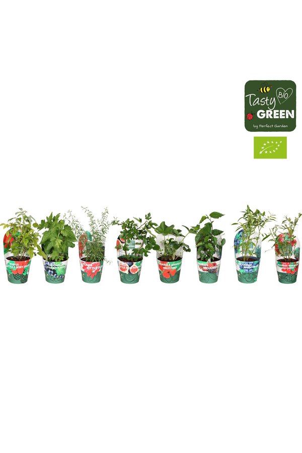 Fruit mix tray potcover Bio P14