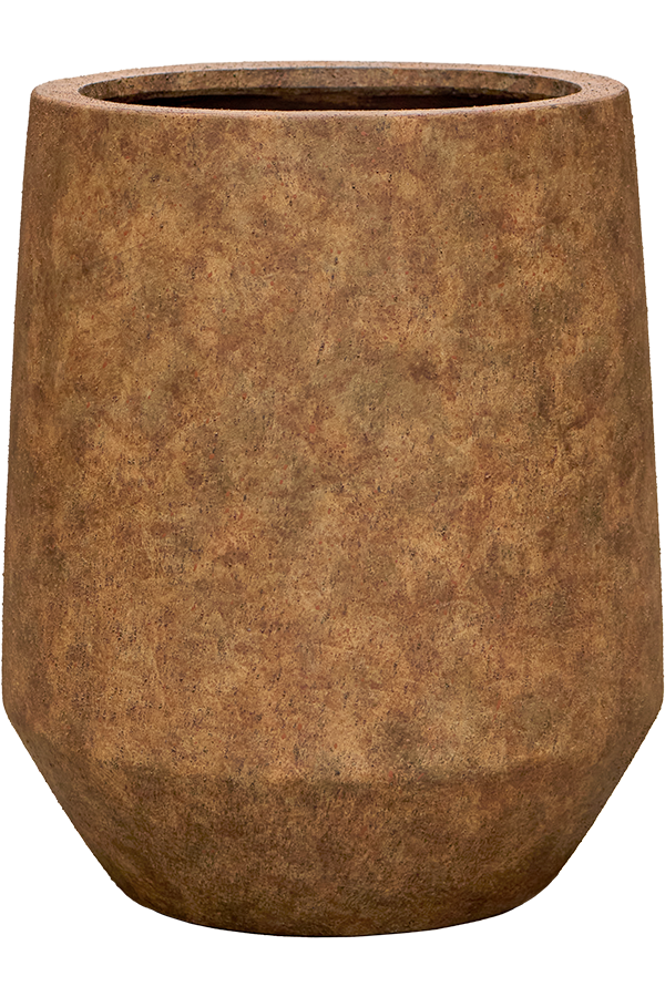 Monstera  in Mineral