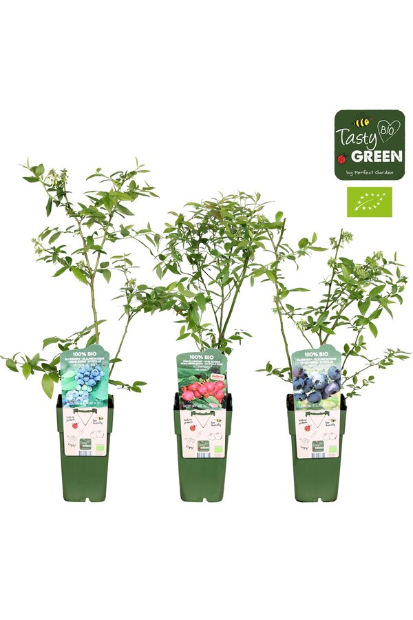 Vaccinium mix laag bio P15