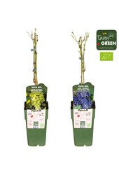 Vitis mix laag Bio P15