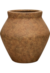 Strelitzia in Mineral pot