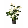 Anthurium de luxe kunstplant