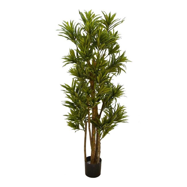 Dracaena reflexa kunstplant