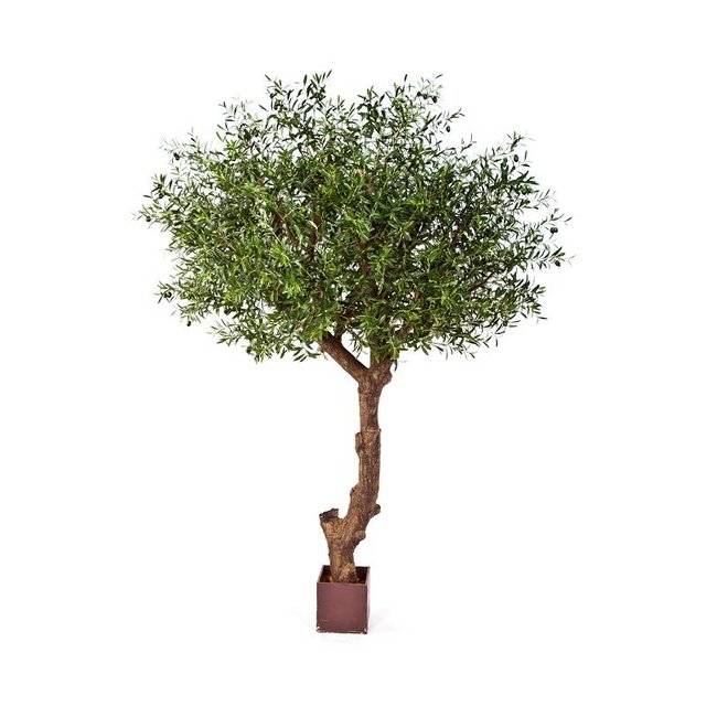 Natural olive tree poly kunstplant