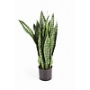 Sansevieria kunstplant