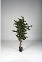 Ficus kunstplant medium