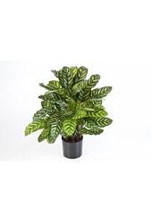 Calathea kunstplant