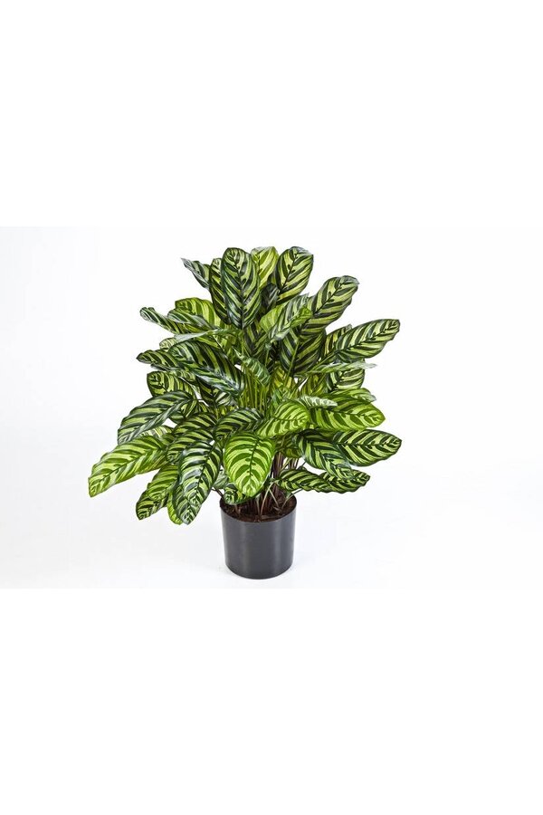 Calathea kunstplant