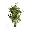 Dracaena  drakenbloedboom kunstplant