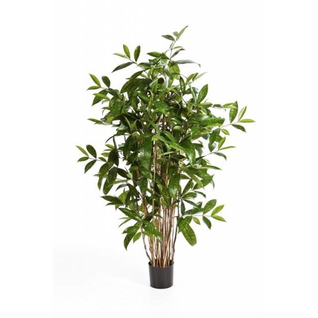 Dracaena  drakenbloedboom kunstplant