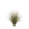 Pennisetum gras in zinken pot M kunstplant