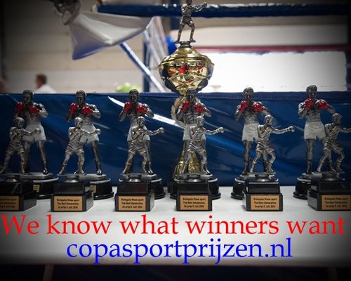 Sportprijzen boksen