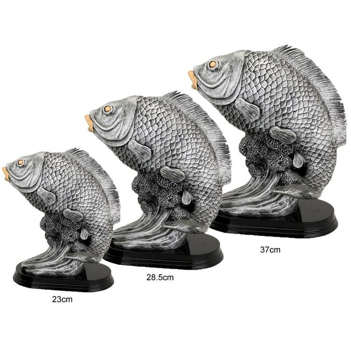 Vis trofee karper