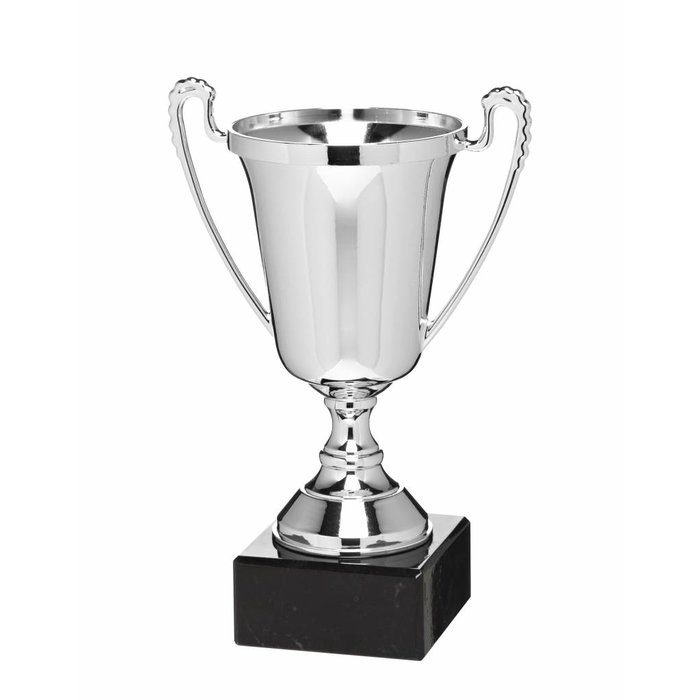Beker zilver (Kunststof cup)