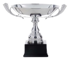 Zilveren Schaal Trofee – Metalen Cup op Zwarte Voet