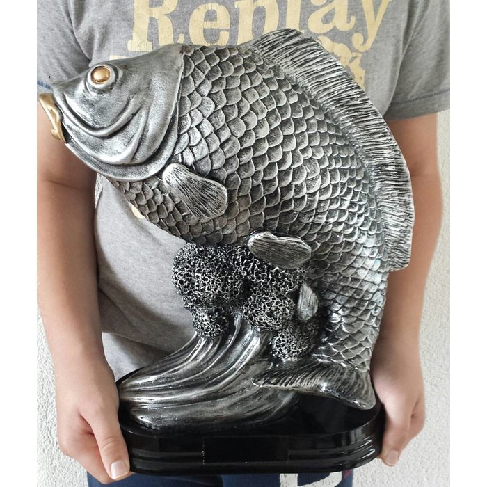 Vis trofee karper