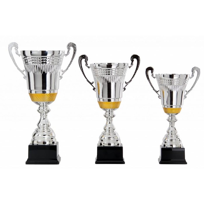 Zilveren Kampioensbeker met Gouden Accent – Metalen Trofee in 3 Formaten op Zwarte Voet met Gravure