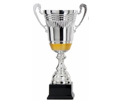 Zilveren Beker Trofee met Goud Detail – Metalen Cup