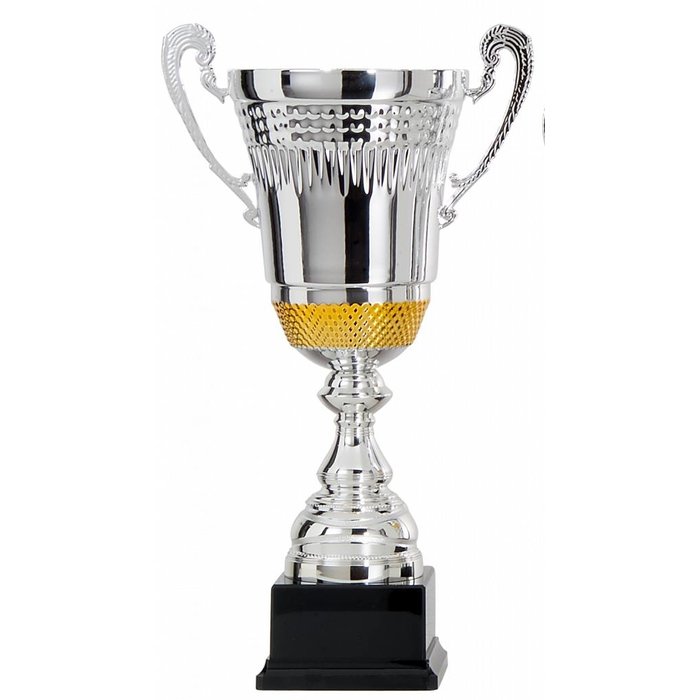 Zilveren Kampioensbeker met Gouden Accent – Metalen Trofee in 3 Formaten op Zwarte Voet met Gravure