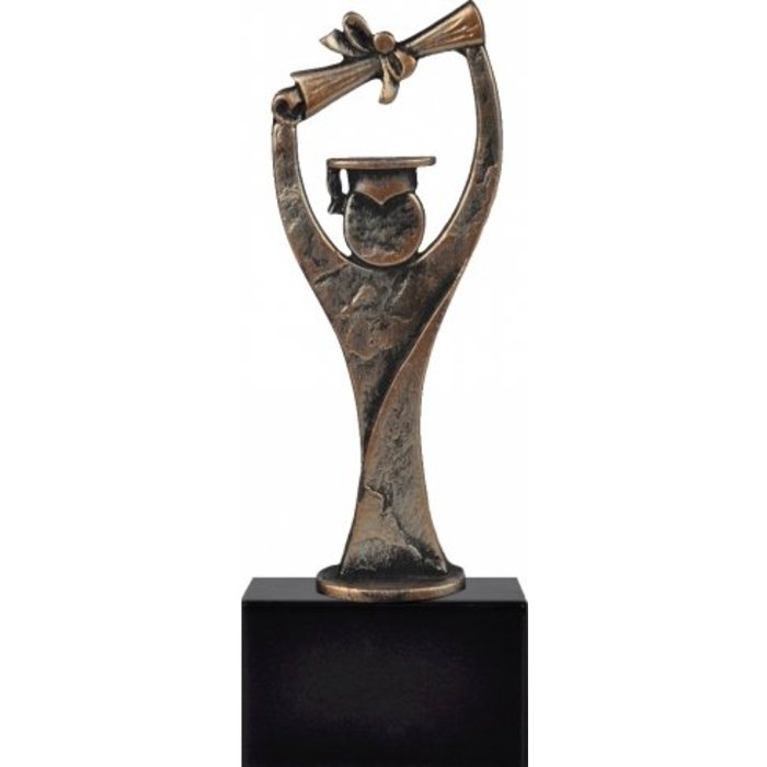 Student geslaagd figuur