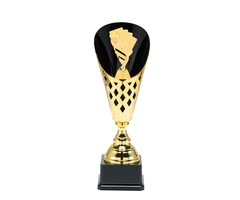 Kaart beker Goud 40 t/m 50.5cm