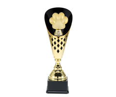 Hondensport beker Goud 40 t/m 50.5cm