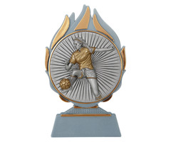 Dames voetbal trofee