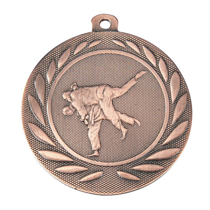 Judo medailles