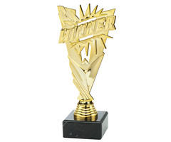 Winner trofee