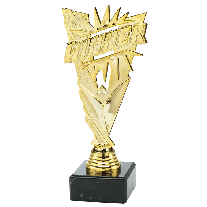 Winner trofee