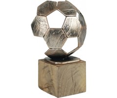 Luxe Voetbal trofee metaal 19cm