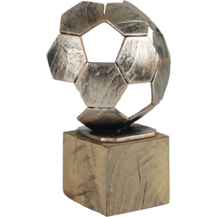 Voetbal trofee metaal