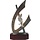 Schaats trofee