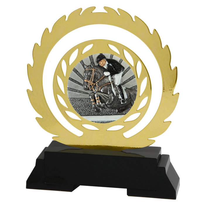 Springruiter award (metaal)