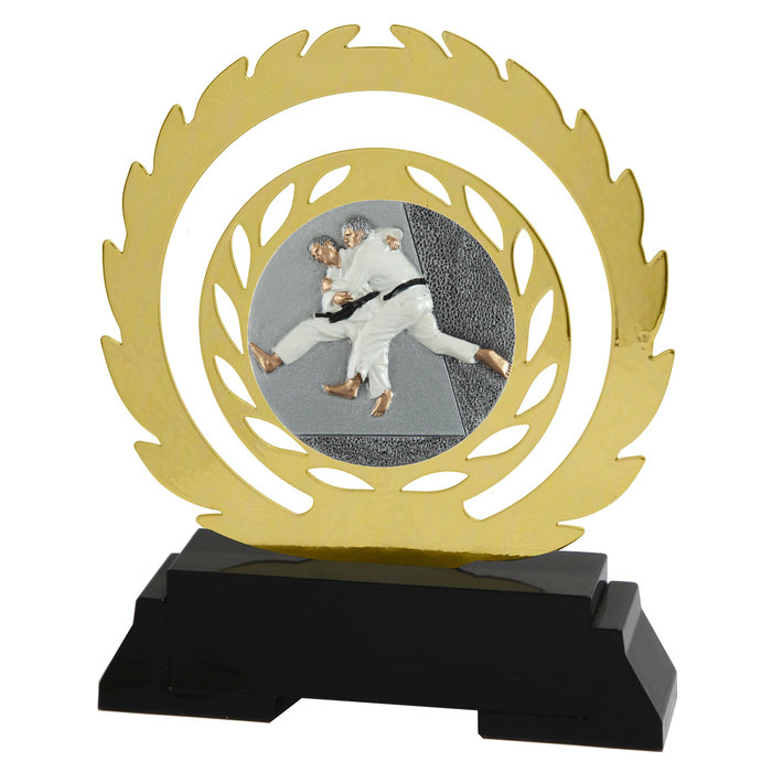 Judo award (metaal)