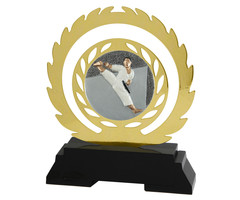 Karate  Award
