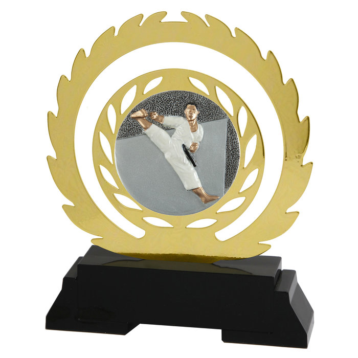 Karate award (metaal)
