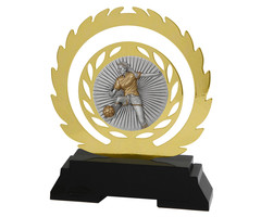 Vrouwen voetbal Award