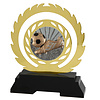 Voetbal  Award