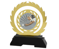 Biljart Award