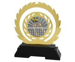 Volleybal Award